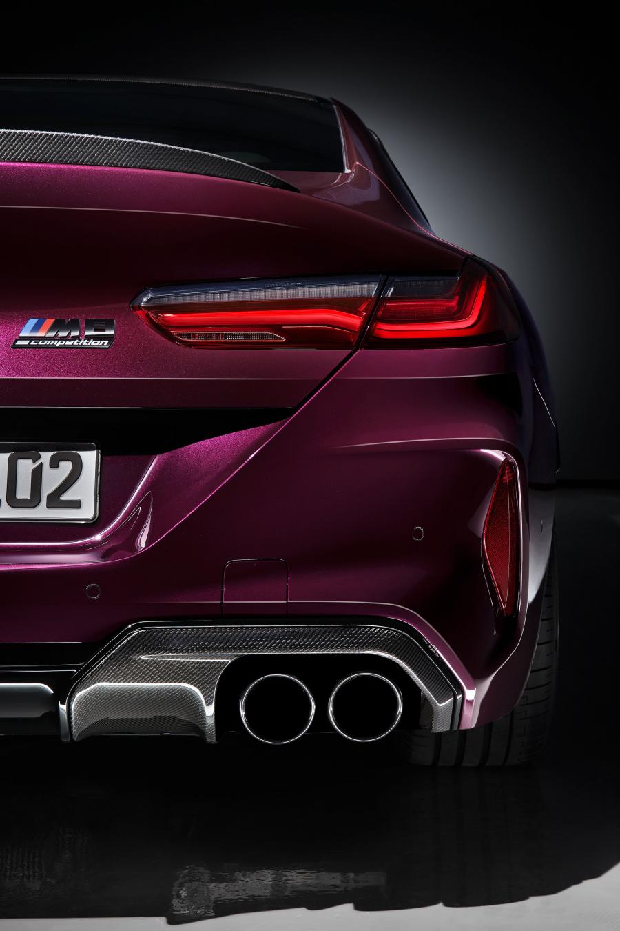 Детали экстерьера BMW M8 Competition Gran Coupe (F93) 2019 года  (WW) (фото 92 из 139)